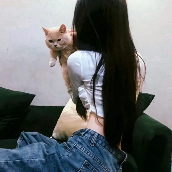 深夜姐妹会